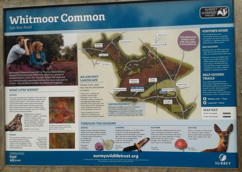 Whitmoor Common Map